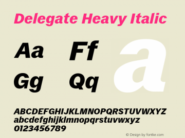Delegate Heavy Italic Version 1.001;hotconv 1.0.117;makeotfexe 2.5.65602图片样张
