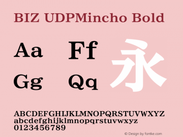 BIZ UDPMincho Bold Version 1.06图片样张