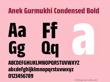 Anek Gurmukhi Condensed Bold Version 1.003图片样张
