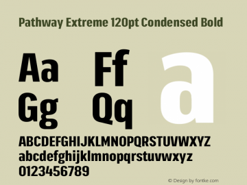 Pathway Extreme 120pt Condensed Bold Version 1.001;gftools[0.9.26]图片样张