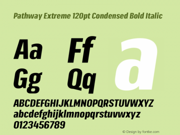 Pathway Extreme 120pt Condensed Bold Italic Version 1.001;gftools[0.9.26]图片样张
