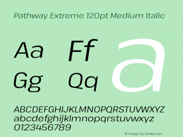 Pathway Extreme 120pt Medium Italic Version 1.001;gftools[0.9.26]图片样张