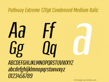 Pathway Extreme 120pt Condensed Medium Italic Version 1.001;gftools[0.9.26]图片样张
