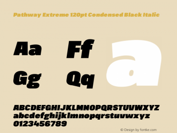 Pathway Extreme 120pt Condensed Black Italic Version 1.001;gftools[0.9.26]图片样张