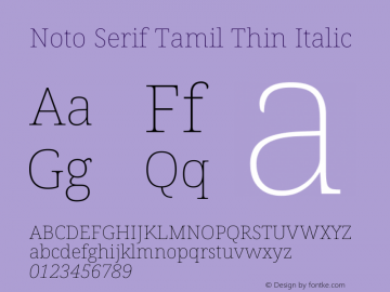 Noto Serif Tamil Thin Italic Version 2.003图片样张