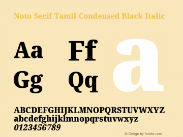 Noto Serif Tamil Condensed Black Italic Version 2.003图片样张