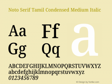 Noto Serif Tamil Condensed Medium Italic Version 2.003图片样张