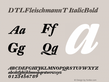 DTLFleischmannT ItalicBold Version 001.000图片样张