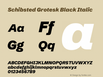 Schibsted Grotesk Black Italic Version 1.100;gftools[0.9.25]图片样张