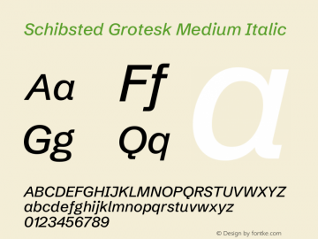 Schibsted Grotesk Medium Italic Version 1.100;gftools[0.9.25]图片样张