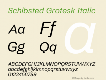 Schibsted Grotesk Italic Version 1.100;gftools[0.9.25]图片样张