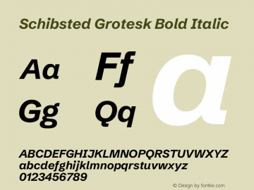 Schibsted Grotesk Bold Italic Version 1.100;gftools[0.9.25]图片样张