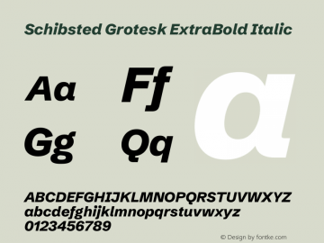 Schibsted Grotesk ExtraBold Italic Version 1.100;gftools[0.9.25]图片样张