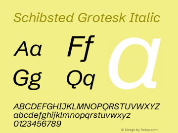 Schibsted Grotesk Italic Version 1.100;gftools[0.9.25]图片样张