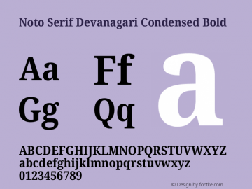 Noto Serif Devanagari Condensed Bold Version 2.004图片样张