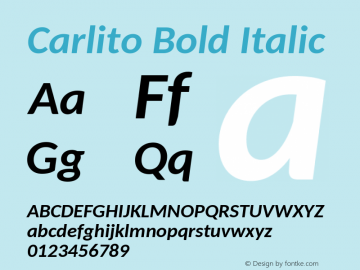 Carlito Bold Italic Version 1.104图片样张