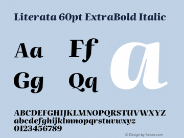 Literata 60pt ExtraBold Italic Version 3.103;gftools[0.9.29]图片样张