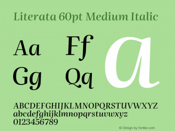 Literata 60pt Medium Italic Version 3.103;gftools[0.9.29]图片样张