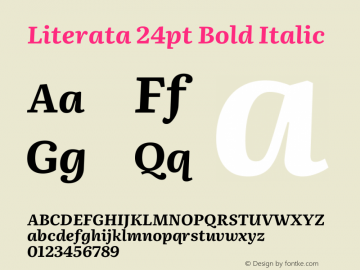 Literata 24pt Bold Italic Version 3.103;gftools[0.9.29]图片样张