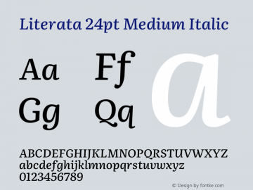 Literata 24pt Medium Italic Version 3.103;gftools[0.9.29]图片样张