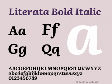 Literata Bold Italic Version 3.103;gftools[0.9.29]图片样张