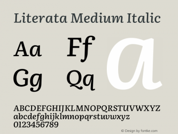 Literata Medium Italic Version 3.103;gftools[0.9.29]图片样张