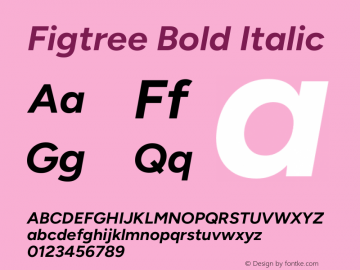 Figtree Bold Italic Version 2.001;gftools[0.9.30]图片样张