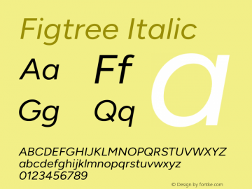 Figtree Italic Version 2.001;gftools[0.9.30]图片样张