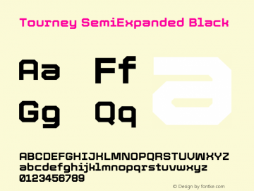 Tourney SemiExpanded Black Version 1.015图片样张