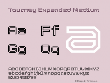Tourney Expanded Medium Version 1.015图片样张