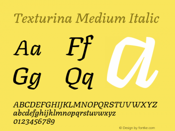 Texturina Medium Italic Version 1.002图片样张