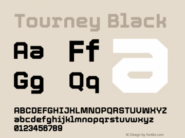 Tourney Black Version 1.015图片样张