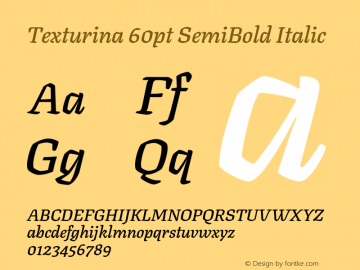 Texturina 60pt SemiBold Italic Version 1.002图片样张