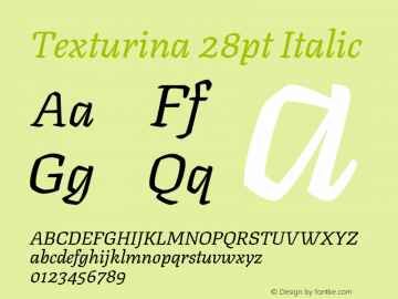 Texturina 28pt Italic Version 1.002图片样张