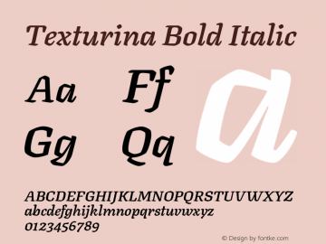 Texturina Bold Italic Version 1.002图片样张