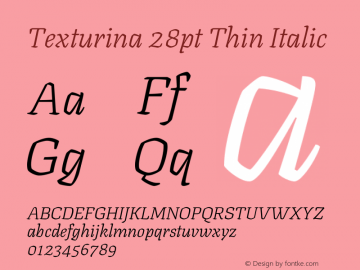 Texturina 28pt Thin Italic Version 1.002图片样张