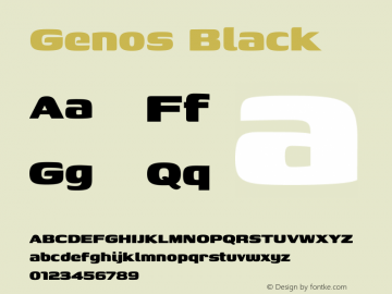 Genos Black Version 1.010图片样张