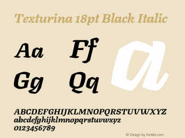 Texturina 18pt Black Italic Version 1.002图片样张