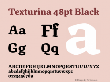 Texturina 48pt Black Version 1.002图片样张