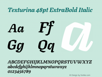 Texturina 48pt ExtraBold Italic Version 1.002图片样张