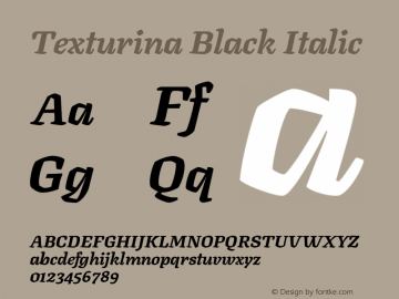 Texturina Black Italic Version 1.002图片样张