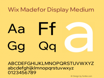 Wix Madefor Display Medium Version 3.100图片样张