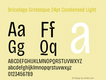 Bricolage Grotesque 24pt Condensed Light Version 1.001;gftools[0.9.33.dev8+g029e19f]图片样张