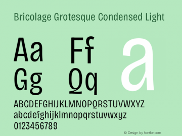 Bricolage Grotesque Condensed Light Version 1.001;gftools[0.9.33.dev8+g029e19f]图片样张