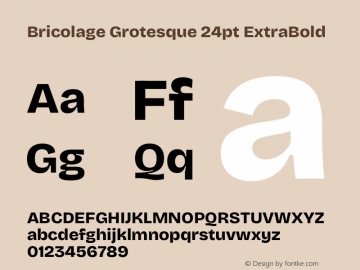 Bricolage Grotesque 24pt ExtraBold Version 1.001;gftools[0.9.33.dev8+g029e19f]图片样张