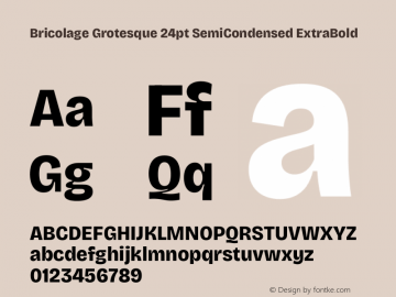 Bricolage Grotesque 24pt SemiCondensed ExtraBold Version 1.001;gftools[0.9.33.dev8+g029e19f]图片样张