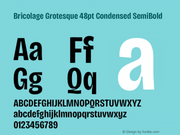 Bricolage Grotesque 48pt Condensed SemiBold Version 1.001;gftools[0.9.33.dev8+g029e19f]图片样张