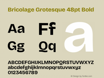 Bricolage Grotesque 48pt Bold Version 1.001;gftools[0.9.33.dev8+g029e19f]图片样张