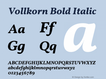 Vollkorn Bold Italic Version 5.001图片样张