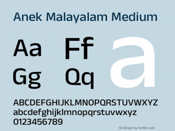 Anek Malayalam Medium Version 1.003图片样张